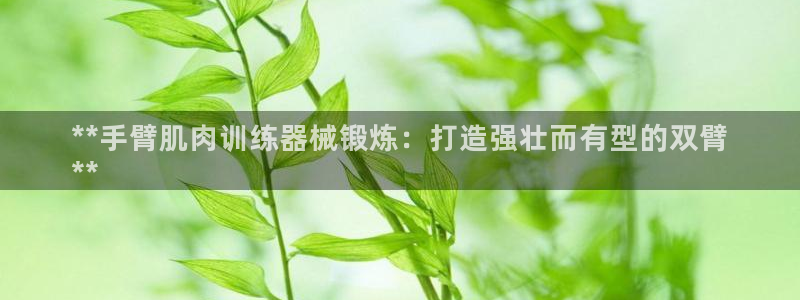 尊龙凯时-人生就是博中国官网最新：**手臂肌肉训练器