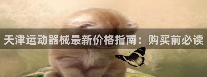 尊龙游戏中心：天津运动器械最新价格指南：购买前必读