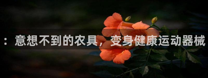 尊龙凯时有假么：：意想不到的农具，变身健康运动器械