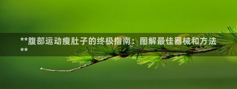 尊龙百度贴吧：**腹部运动瘦肚子的终极指南：图解最佳