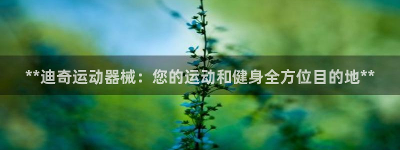 尊龙游戏官网：**迪奇运动器械：您的运动和健身全方位