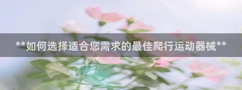 尊龙凯时法充十万返现多少：**如何选择适合您需求的最