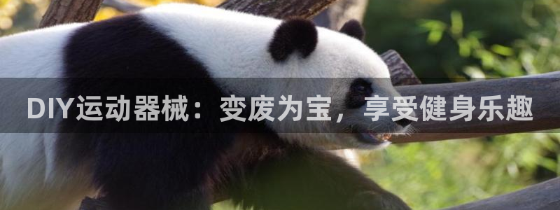 凯时在线平台官网：DIY运动器械：变废为宝，享受健身