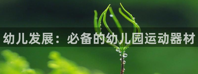 尊龙凯时登录：幼儿发展：必备的幼儿园运动器材