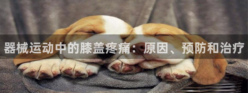 尊龙凯时防屏蔽网址：器械运动中的膝盖疼痛：原因、预防