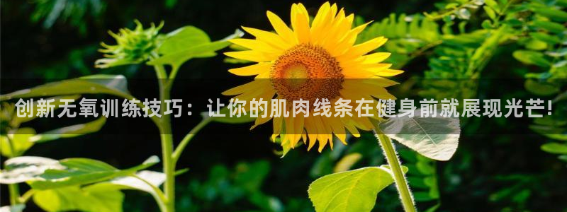 凯时是AG优质运营商