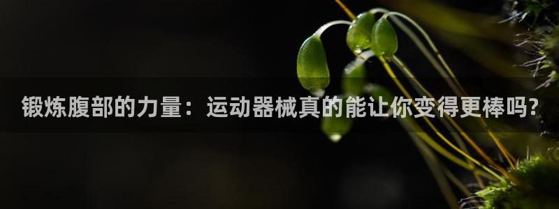 d88尊龙官网手机app