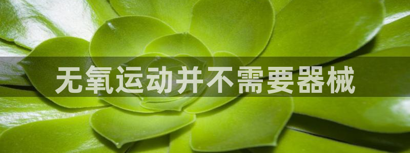 凯时首页地址