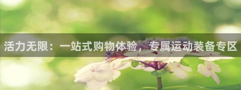 凯时ag旗舰厅登录