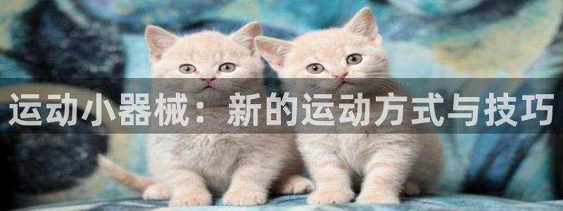 尊龙人生就是博登录网址下载