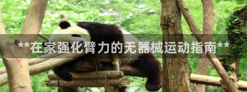 凯时平台怎么样：**在家强化臂力的无器械运动指南**