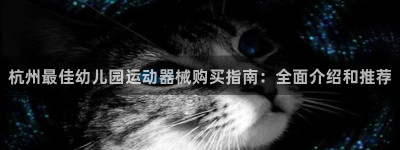 尊龙体育正规么：杭州最佳幼儿园运动器械购买指南：全面介绍和推