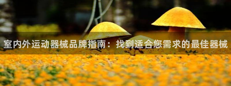 尊龙凯时d3563：室内外运动器械品牌指南：找到适合您需求的