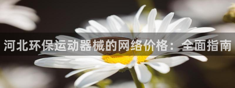 尊龙光学怎么样：河北环保运动器械的网络价格：全面指南