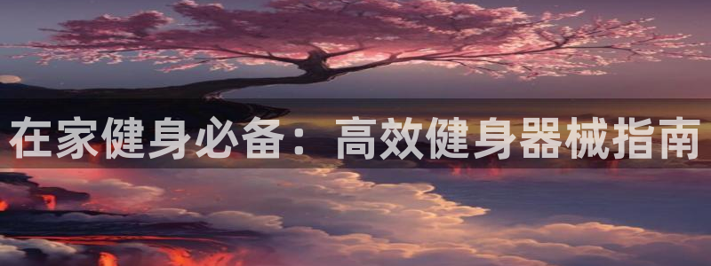 尊龙ag旗舰厅官网官方入口：在家健身必备：高效健身器