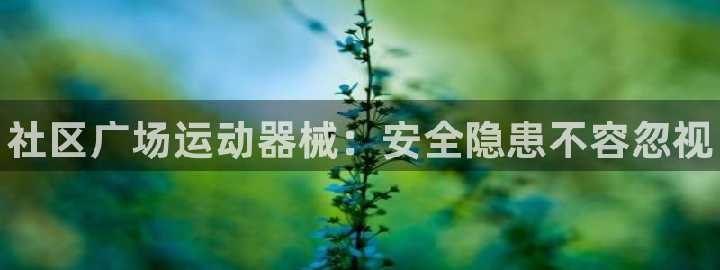 尊龙人生就是博官网登录手机：社区广场运动器械：安全隐患不容忽