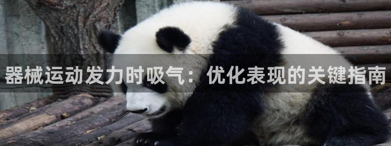 尊龙人生就是博：器械运动发力时吸气：优化表现的关键指南