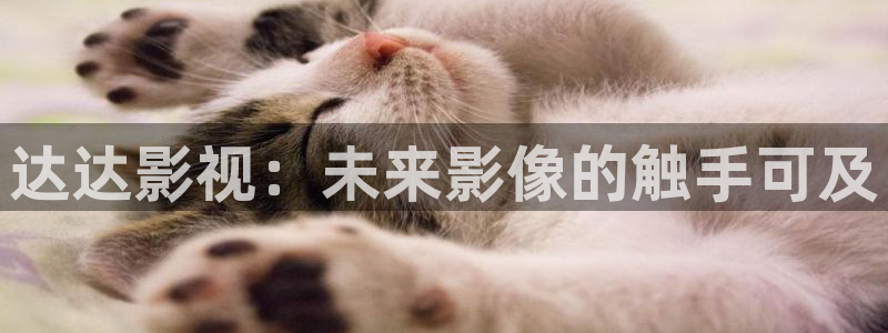 战地影院1080p高清：达达影视：未来影像的触手可及