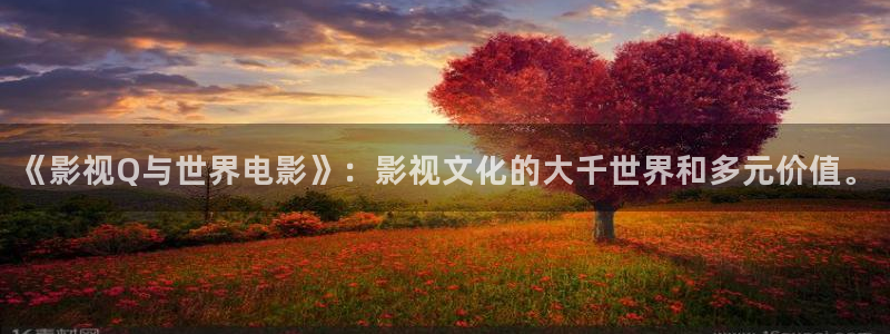 战地影院免费观看完整版电影：《影视Q与世界电影》：影视文化的大千世界和多元价值。