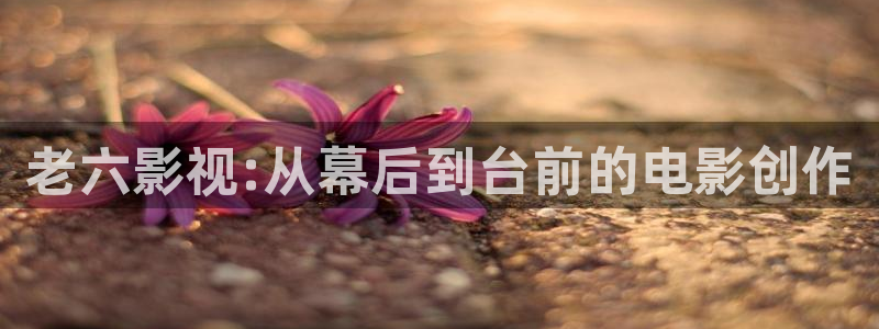 战地影院善良的嫂子：老六影视:从幕后到台前的电影创作