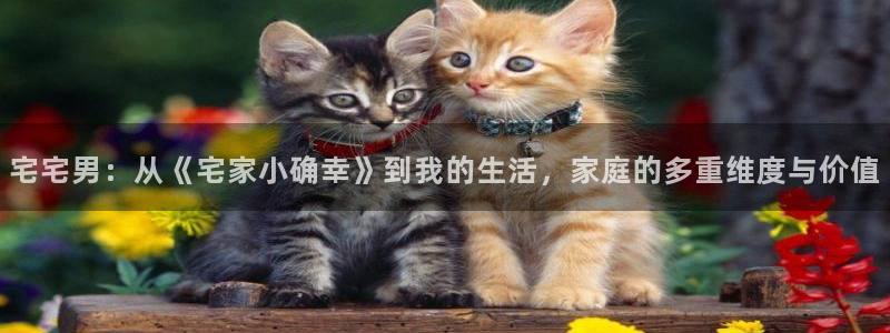 战地影院高清1080：宅宅男：从《宅家小确幸》到我的生活，家庭的多重维度与价值