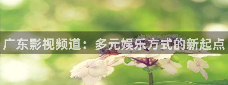 战地游戏下载：广东影视频道：多元娱乐方式的新起点