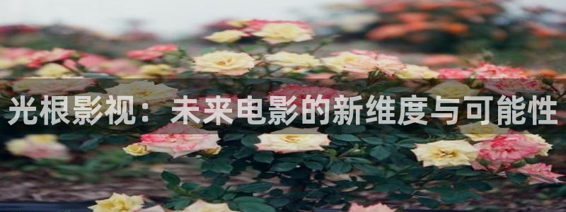 战地影院在线观看免费：光根影视：未来电影的新维度与可能性