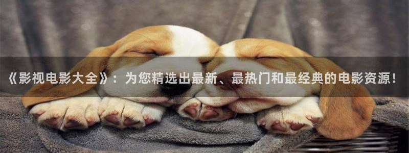 战地电影网：《影视电影大全》：为您精选出最新、最热门和最经典的电影资源！