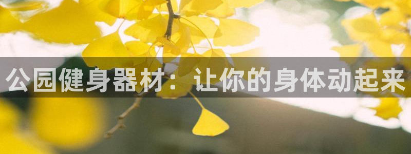 凯时国际娱乐官方网址：公园健身器材：让你的身体动起来