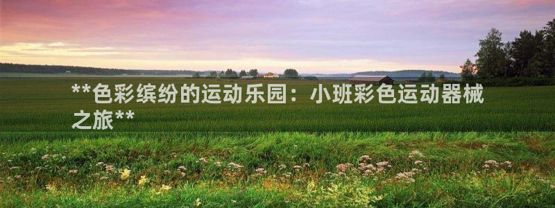 尊龙ag旗舰厅官网·(中国)官方入口:**色彩缤纷的运动乐园