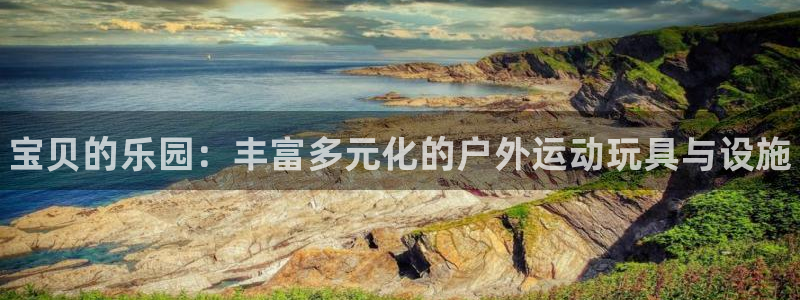 尊龙凯时app产品介绍:宝贝的乐园:丰富多元化的户外运动玩具