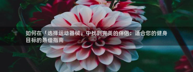 凯时登录平台去AG发财网：如何在「选择运动器械」中找到完美的