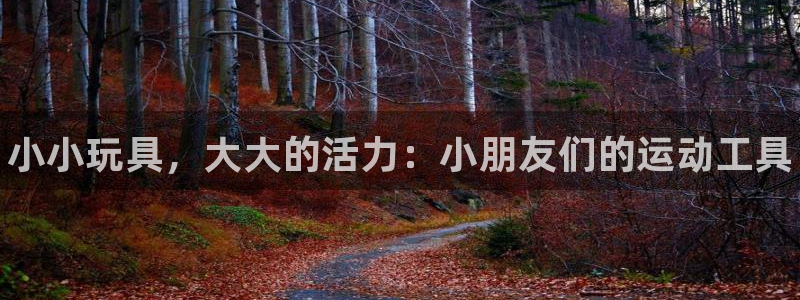 尊龙d88皆选ag发财网：小小玩具，大大的活力：小朋友们的运