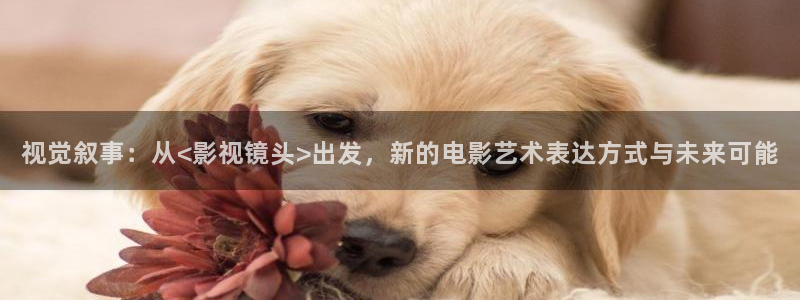 战地影院在线观看免费：视觉叙事：从<影视镜头>出发，新的电影艺术表达方式与未来可能